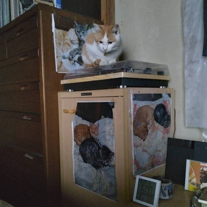 8563032c 30cb 465f 9e15 cb4b7edf9dae 1742420850450