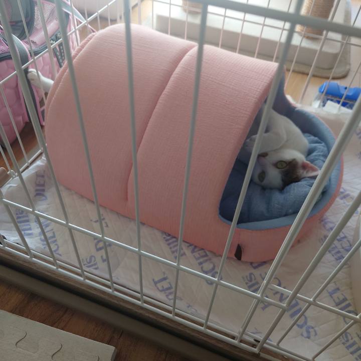 856330db e894 4569 a09d 2a7281eeb895 1690605568175