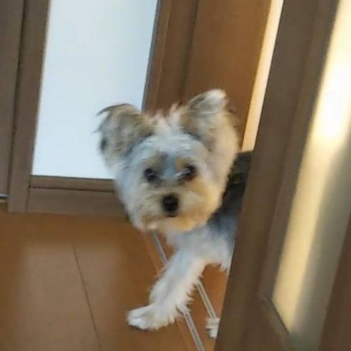 85635744 321a 46ff b240 304dc1ab1275 1541245531626