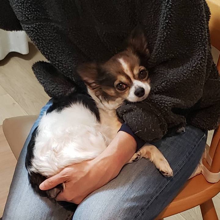 8563774c d181 4909 9778 d6715deb26a4 1582537800641