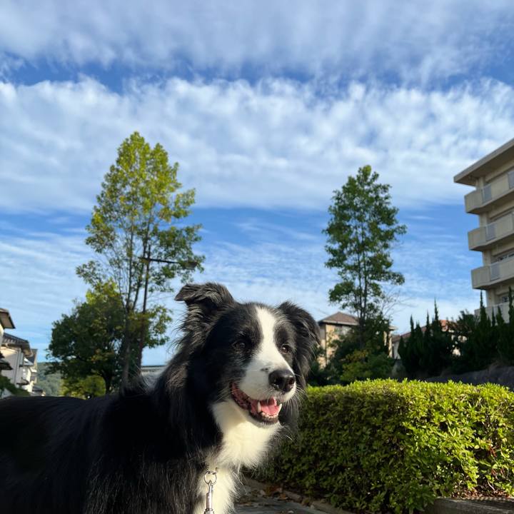 8563ab51 4ea0 4edc a657 8a63b7cb1e01 1759185036564