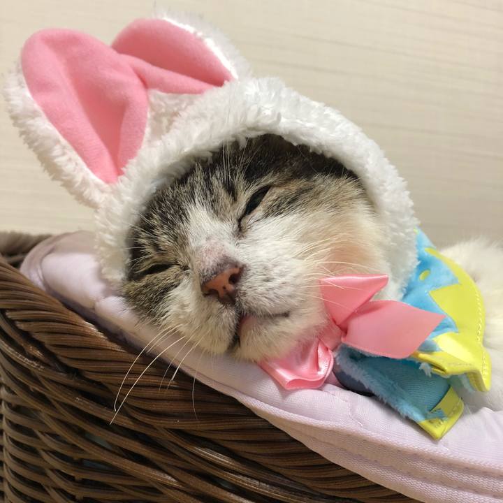 8563b3b0 fe75 4b2a 9189 525beaffb663 1532784130774