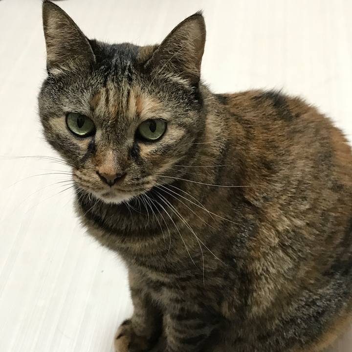 8563b821 a40f 4cad b9c4 67b992f7f75c 1535270133095