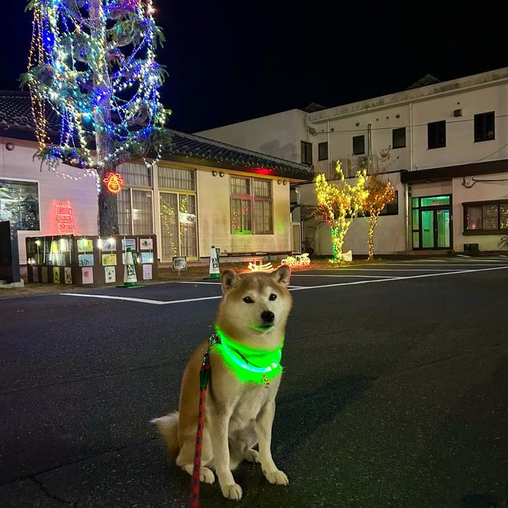 8563c029 15d5 4caa aeb2 e51e8b7432b4 1734522963676