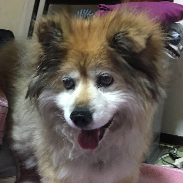 8563df53 00aa 4e10 85d1 45da295bd9a4 1586627690088