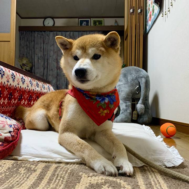 8563fbb4 e8f8 4733 9240 8bae474c4a9d 1621939285446