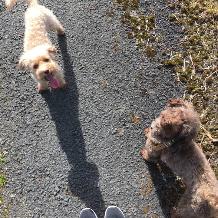 85641e82 7e5d 4f99 9681 cf3aabd033c8 1554050870128