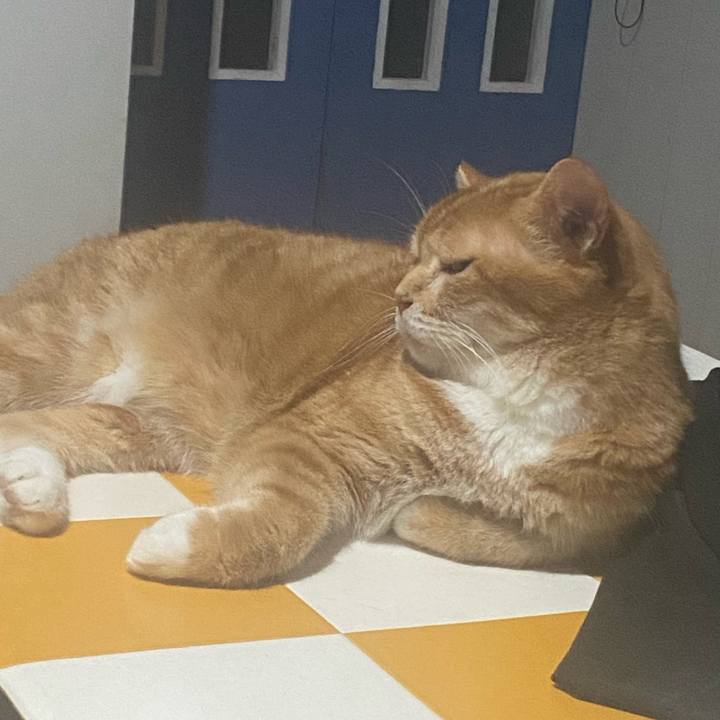 85644a97 c03f 4926 808e 70a90d2b0156 1723902306572