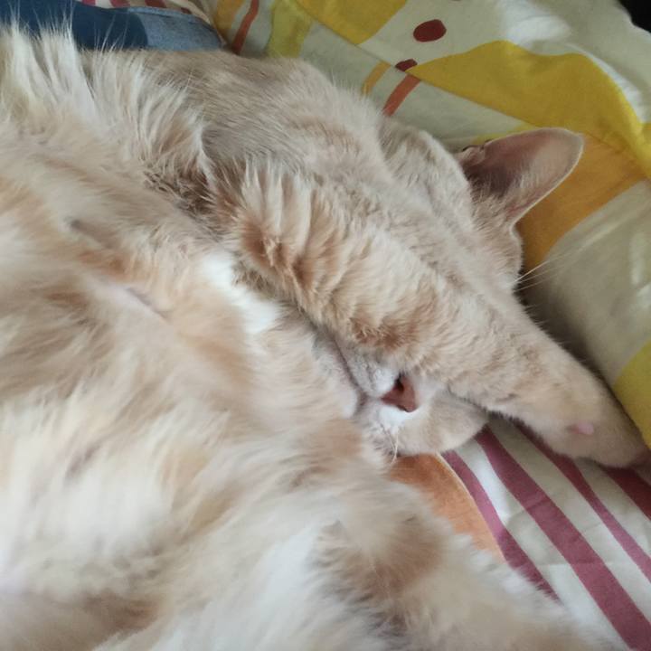 85645e47 047f 44fb 854e 2c01ecbc0444 1531540245530