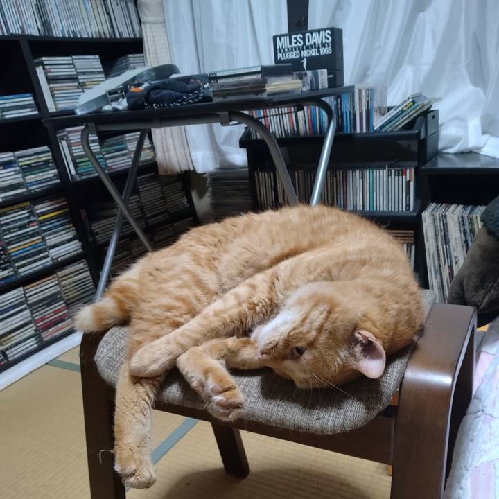 8564a266 a386 4ea3 aaeb 7435bfef0ec2 1688562153421