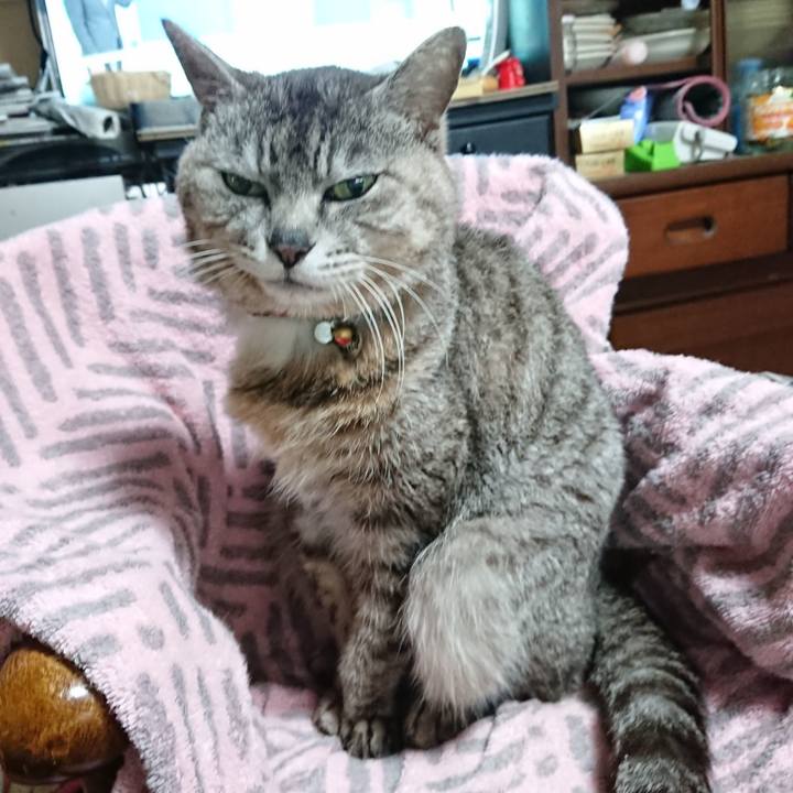 8564a620 99e6 4fa6 b128 1e83900eff70 1590529246360