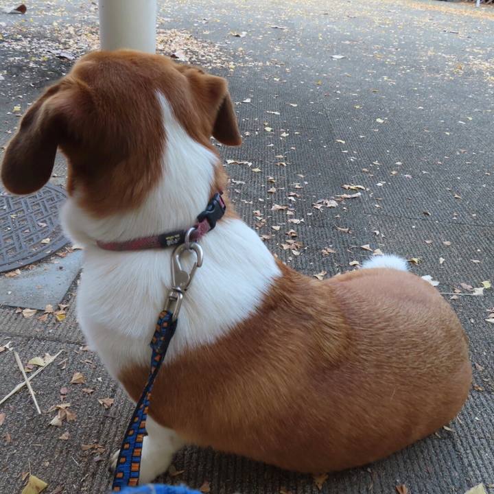 8564d3b7 cbc5 450f 852e 43761a45bdd3 1638005737017