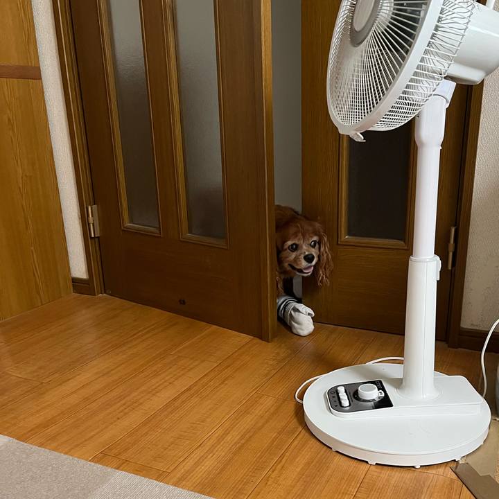 8565133b f921 4d6b ae7d 85af13882695 1757889364716