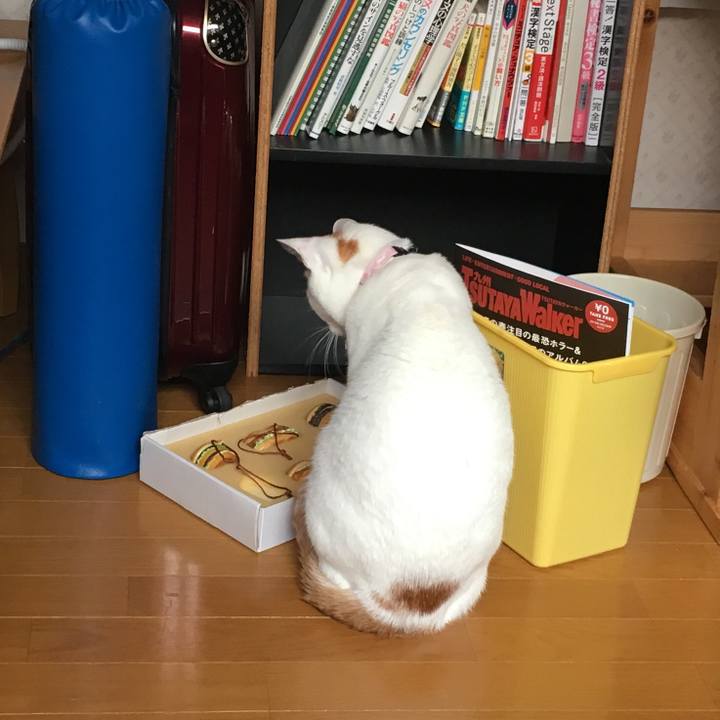 85652514 7971 4afa 8d5b 96fba3fcba5a 1553380934792