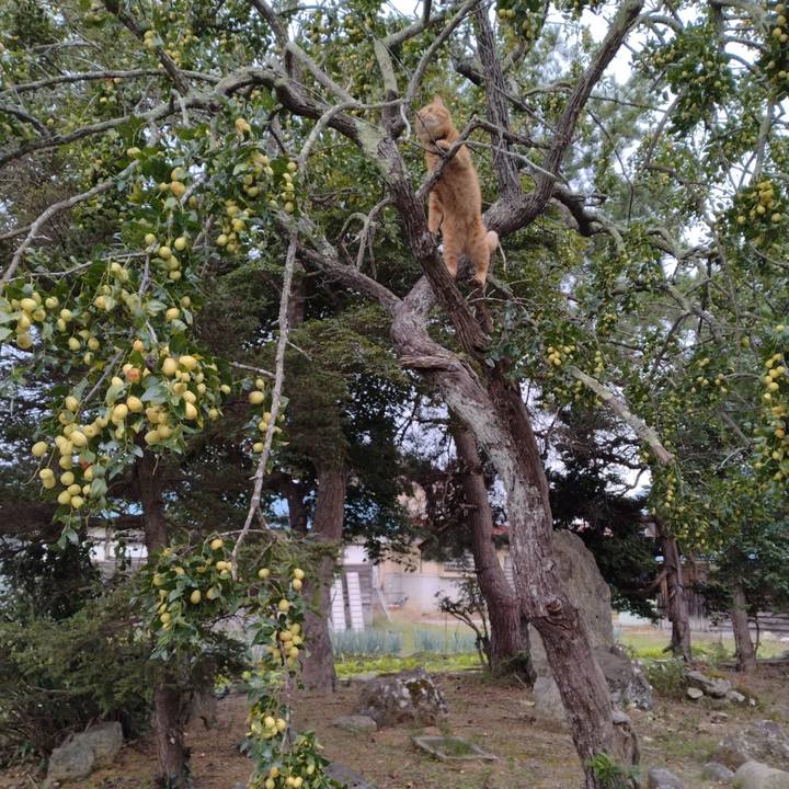 85652b84 c64d 4596 a391 a351e14e5aab 1695423906100