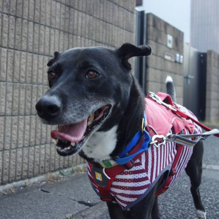 85658df4 56fe 412a b11a 65844f08f4bf 1689721706649