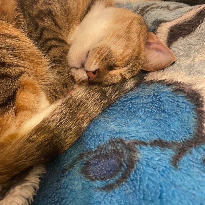 85659149 3a22 413c 81c9 04fc845046ae 1578933349265