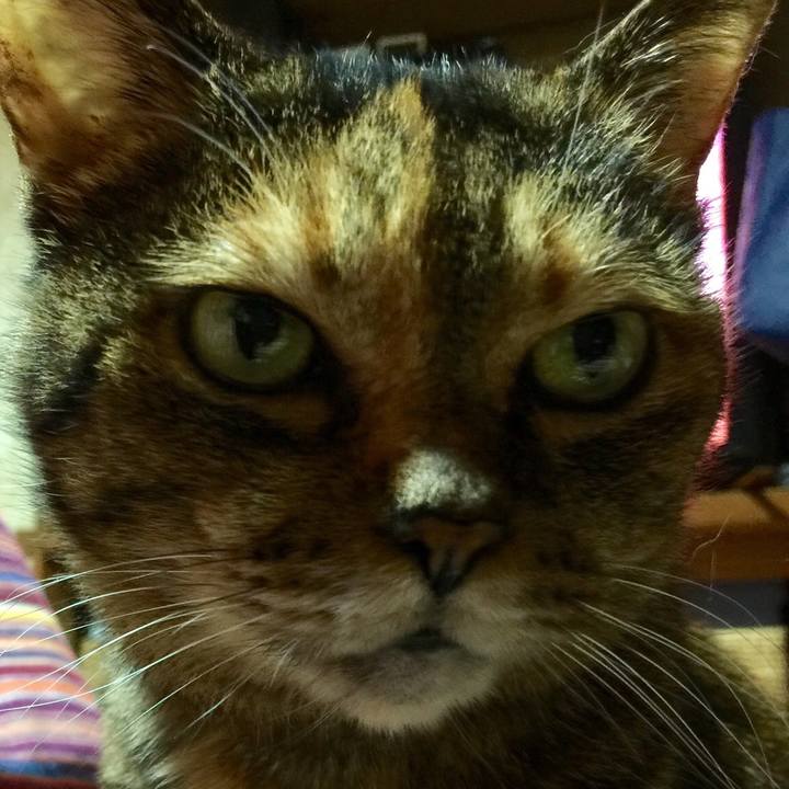 8565a4b5 5d44 44e3 9926 e5dfbe3a143f 1549951642467