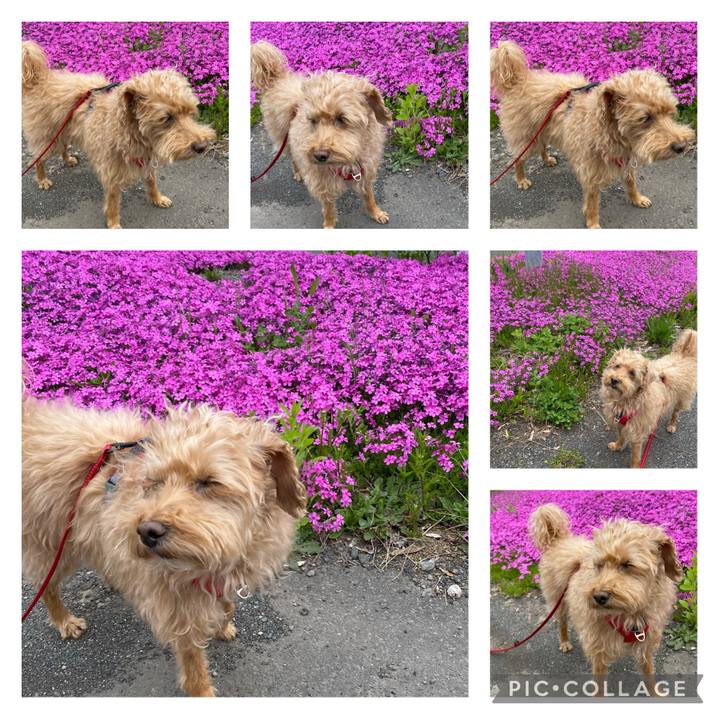 8565b4e6 fbaa 4589 b052 f0dd4fae110b 1684125443729