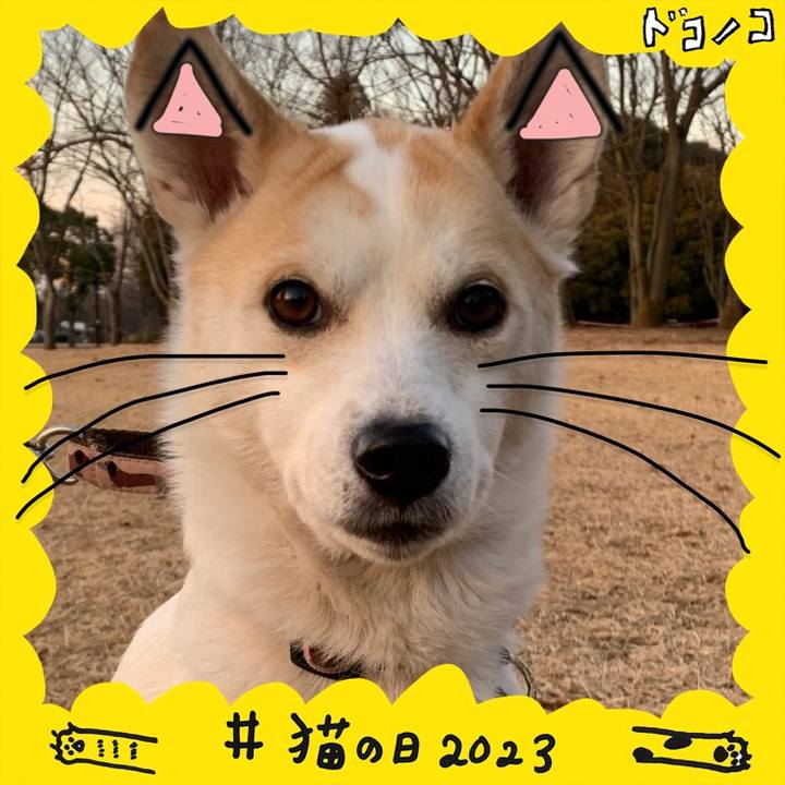 8565c0a1 55c6 4a0d 8311 89b7304801fd 1677070609830