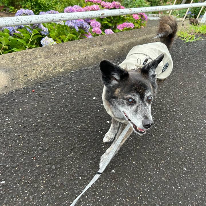 85660262 c5b8 4cec 8277 1a4b25fe14d7 1719708568637