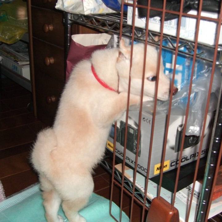 85661941 ad12 459b bf16 47f4f600ccf0 1675918401966