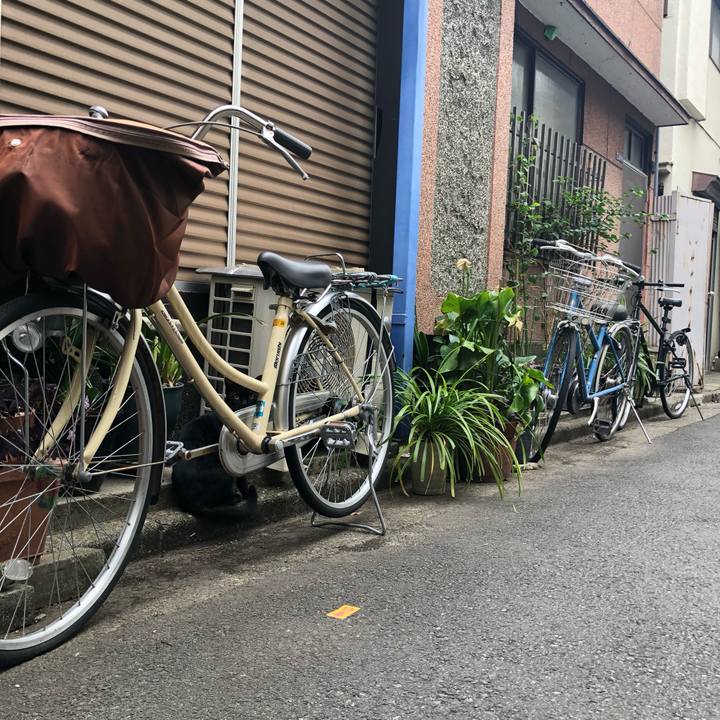 85663221 982e 4d9d b594 2bc28899b311 1559306846353