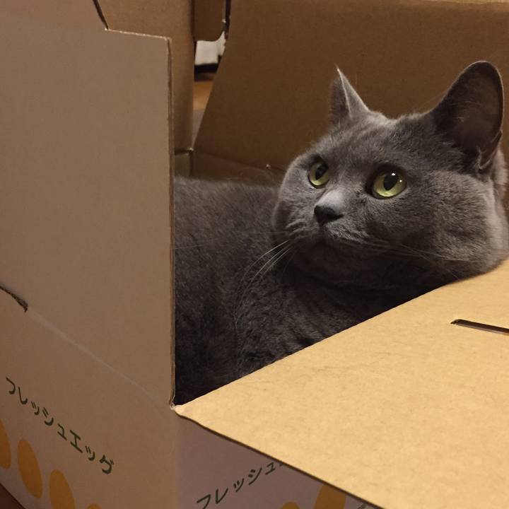 8566b0de b59c 457c 935a 4fb73713dae1 1525004985722