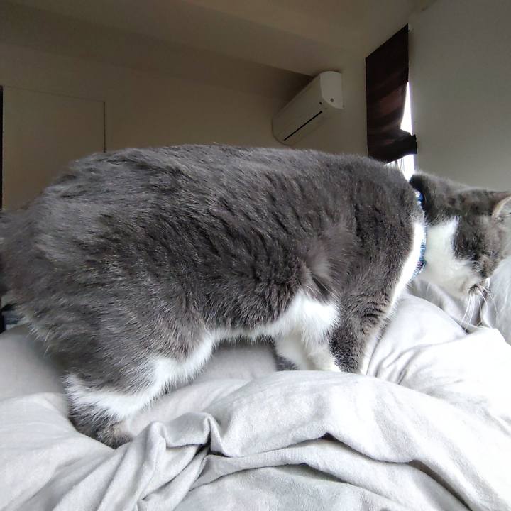 8566bd5f 285f 47bc 8313 6b95cb83643f 1669169319381