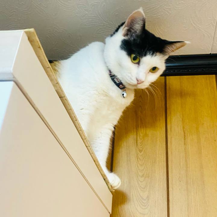 8566e058 b993 4e4f 970e 4f92790125e5 1661035023828