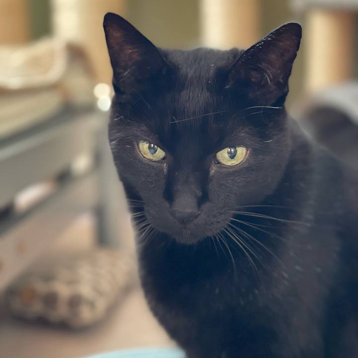 85672010 8231 44b8 b833 ac18b3cbf1b7 1639534438897