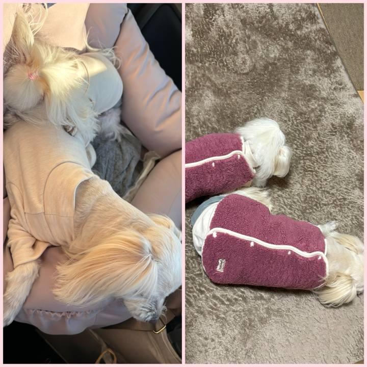 85676a6b e9df 4cb5 8c00 ae166836ba7b 1766928020296