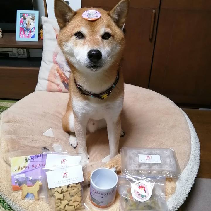 856847be d82b 472e b9f1 40ca8a58875e 1665392326293