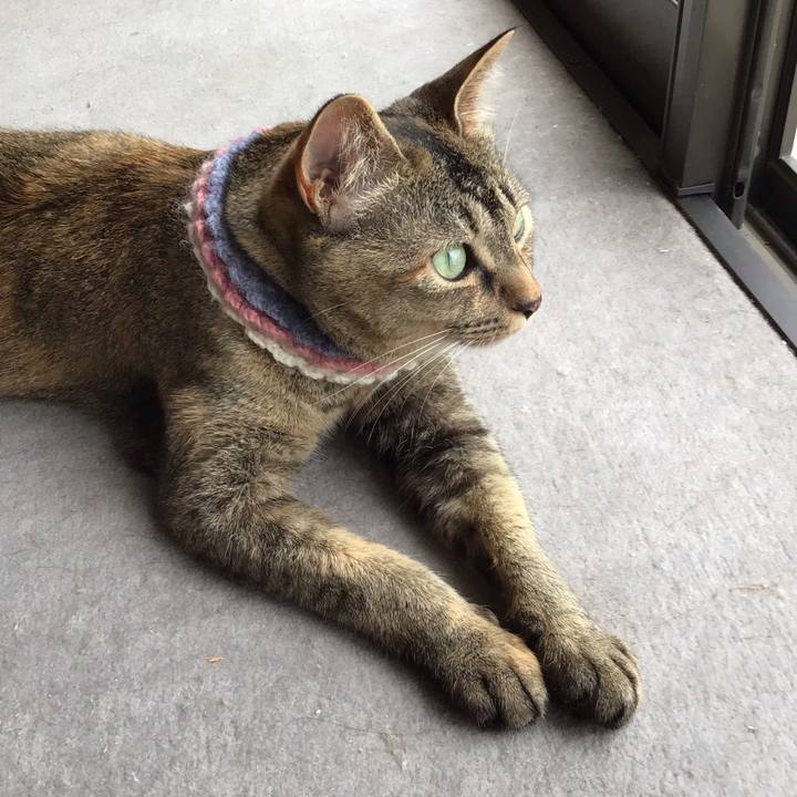 85684d97 f0b4 43b8 bfbb adf5416d7346 1624683334944