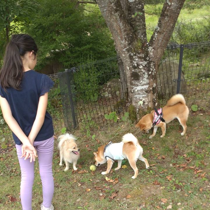 856872d5 8ea1 4ab1 9b5b 14aad3ebc63a 1756521699878