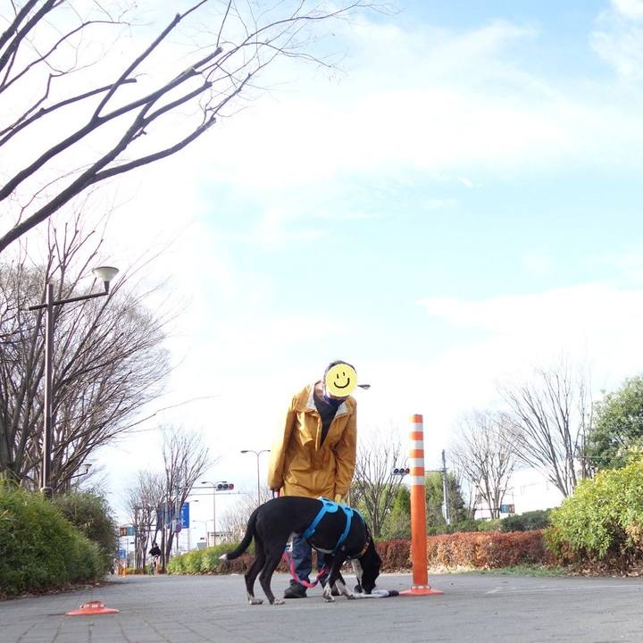 85687f79 0661 4327 ac0d 17455dedacd1 1614648332996