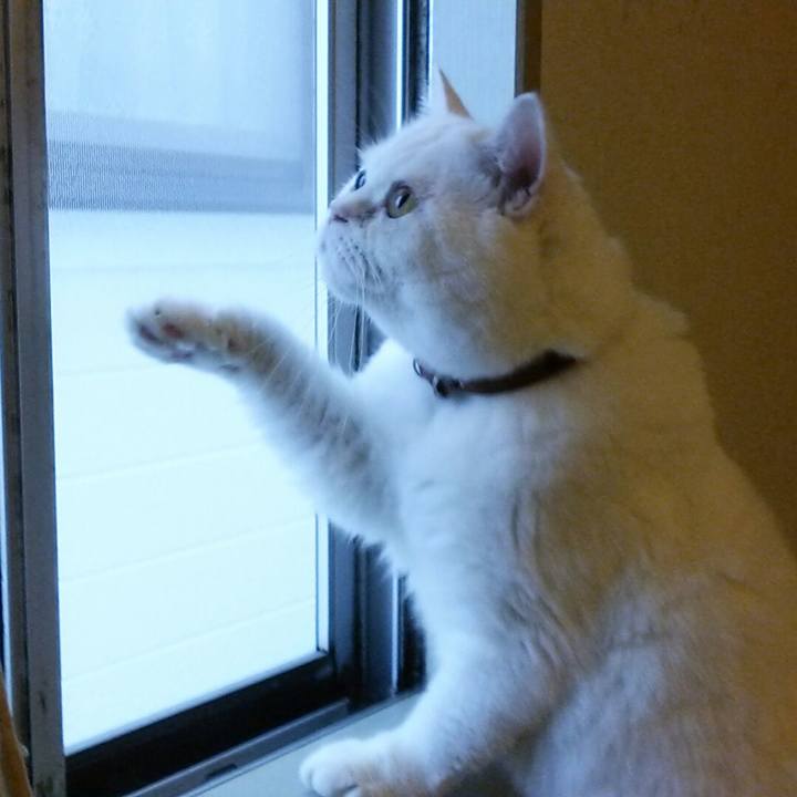 856881cf b0b6 4c25 ad5e d8e67e04b111 1510700048635