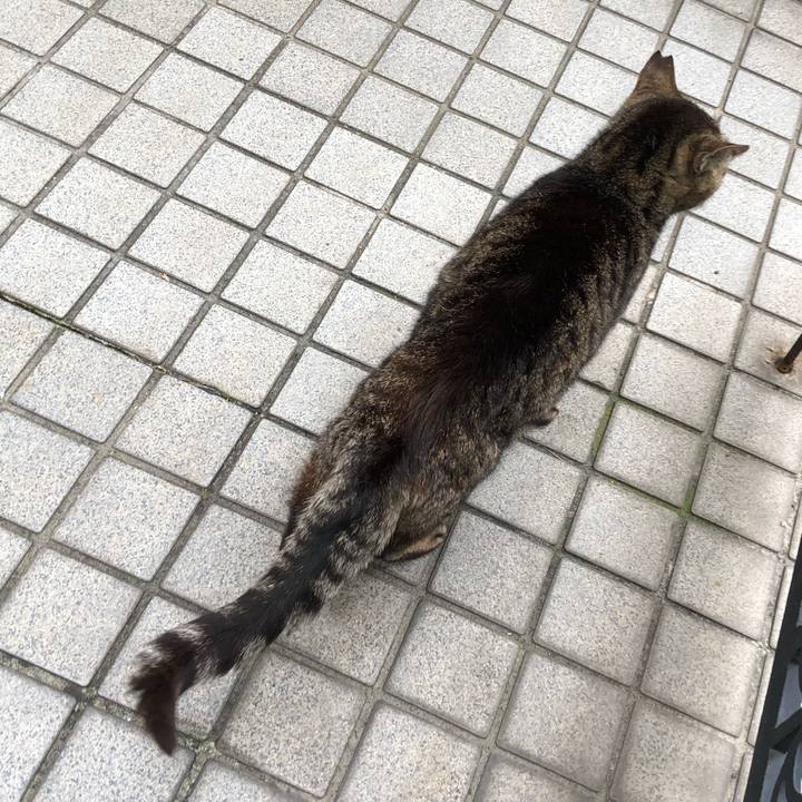 8568c8a1 26c1 4213 98c1 ec51427ad59e 1656522367588