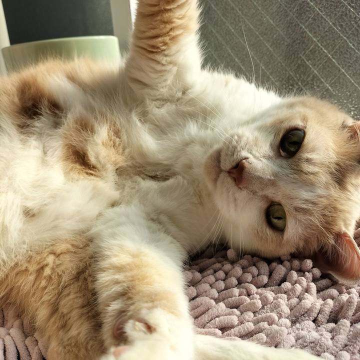 8569355a bd12 4afa be28 d726d27a39e2 1647043232578