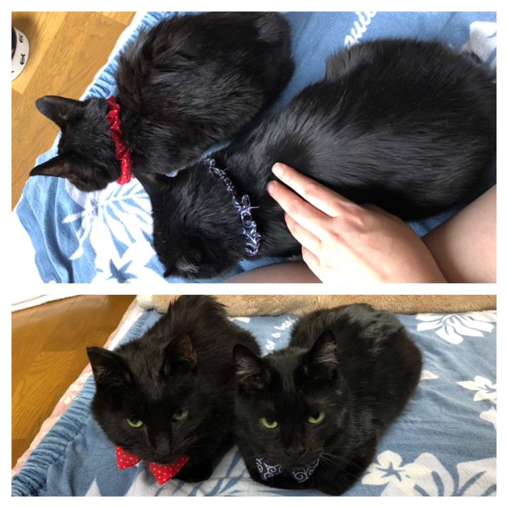 856938e1 a27e 444e a837 a2e0d9d996de 1557437227665