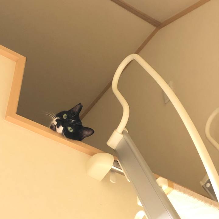 85694cbe 5f5f 44e3 9562 45a4c0382efc 1634054972535