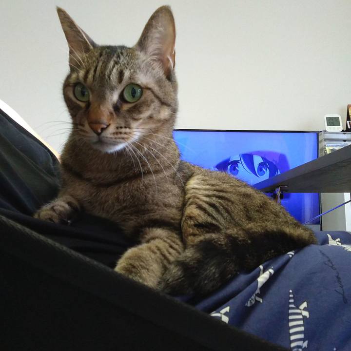 85694fa0 3ece 4d3f 8f8f 2a9cc2e93bf3 1694219393179