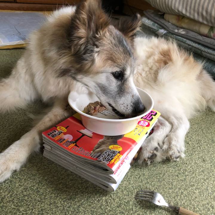 8569568c 3aee 40ad 8b76 6df75e304e4a 1551845155099