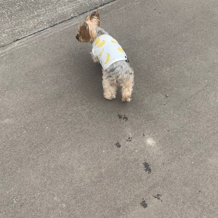 856956c1 3aae 448b 8b54 52d249063429 1649755734353