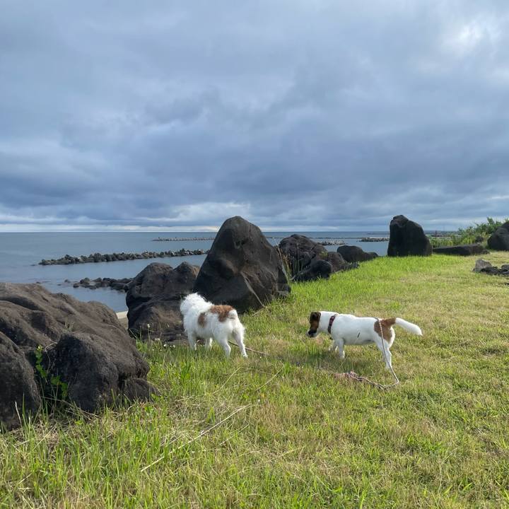 85696adf 114f 40c2 a2f5 d7357b200cdb 1751066745407