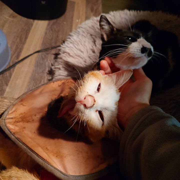 8569834a 2296 4e00 8770 2f44facccbfc 1766585156567