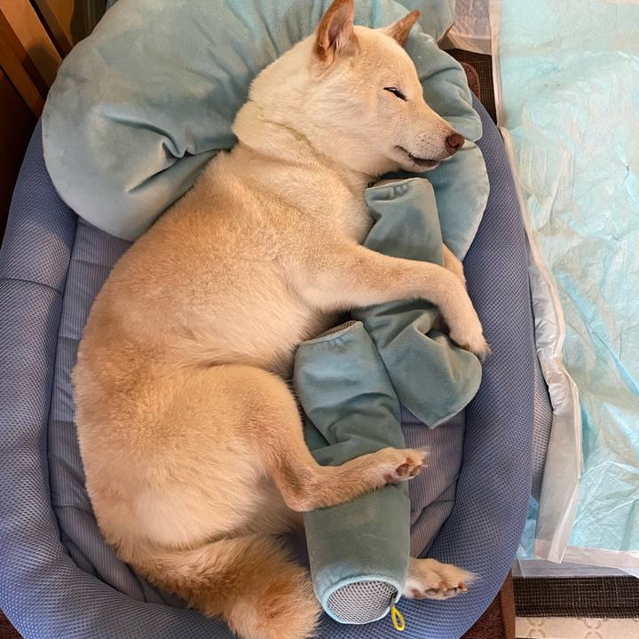 85699154 1886 4dae b913 78eb0d23810b 1651639208772