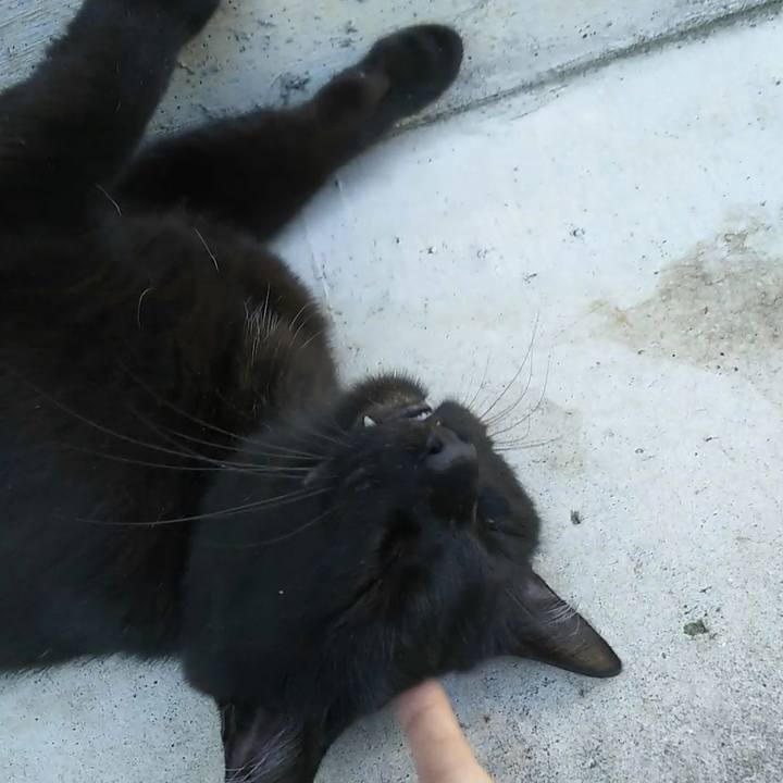 8569b56b 9711 47b9 a100 f8dd7a22f690 1565395243924