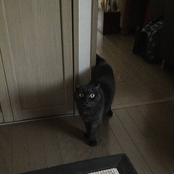 8569d6f5 e468 4437 9077 e00bc6c3a00c 1509052987570