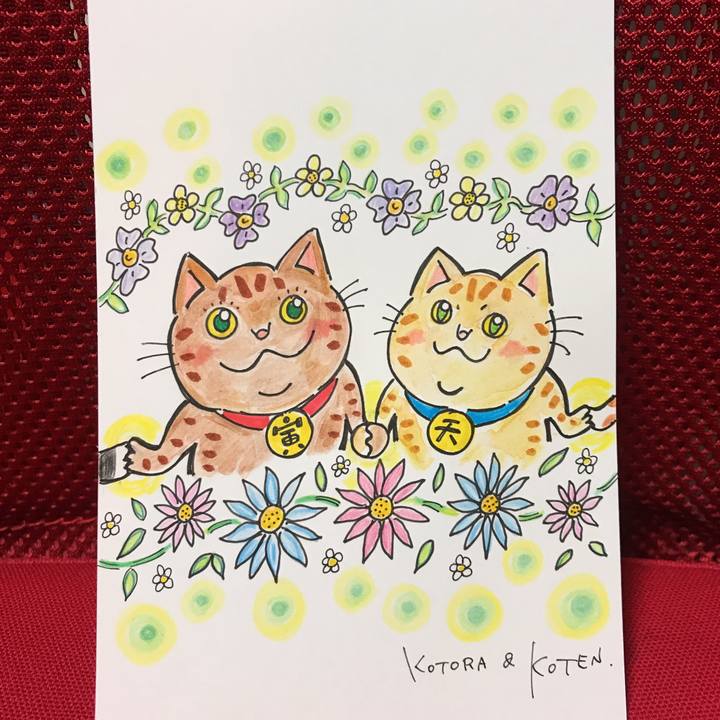 8569e2fb dea6 4659 b5f0 e954bb565346 1552322328115